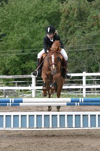 img_140_4054w.jpg