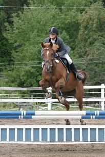 img_140_4065w.jpg