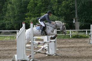 img_141_4120w.jpg