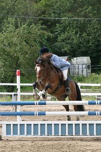 img_141_4123w.jpg
