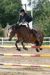 img_141_4133w.jpg