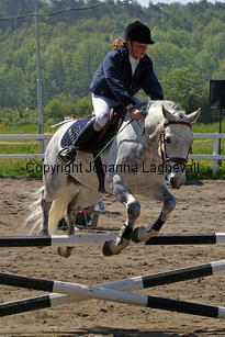 img_7742_3.jpg