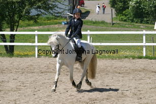 img_7800.jpg