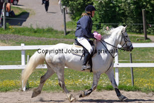 img_7832_2.jpg