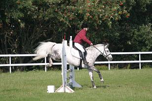 sandra_greybazil_143_4395w.jpg