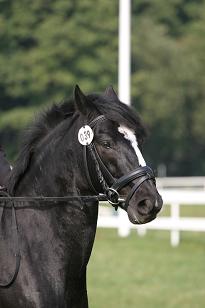 therese_tornadoii_144_4498w.jpg