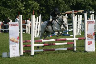 desiree_clarion_142_4287w.jpg