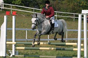 sandra_greybazil_142_4262w.jpg