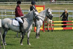 sandra_greybazil_142_4292w.jpg