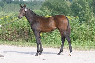 mercedes_139_3904w.jpg