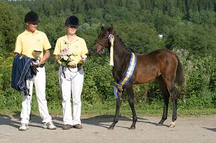 mercedes_139_4000w.jpg
