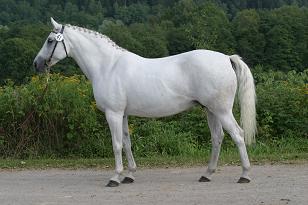 pamina_139_3912w.jpg