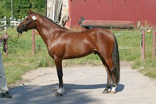 spike_137_3781w.jpg