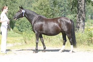 urbina_138_3886w.jpg