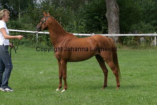 axxasebonita_2589.jpg