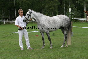 barholtsbluecocktail_2736.jpg