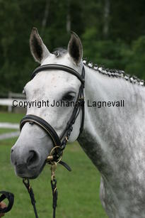 barholtsbluecocktail_2754.jpg