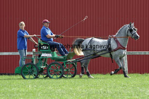 bodethalsnotrepetit_2918-2.jpg