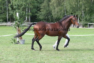 botticelli_2890.jpg