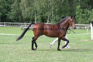 botticelli_2891.jpg