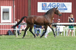 botticelli_2892.jpg