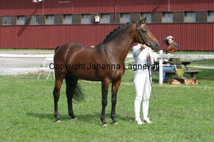 botticelli_2905.jpg
