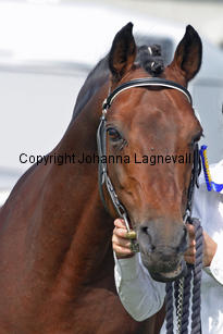 botticelli_2909-2.jpg