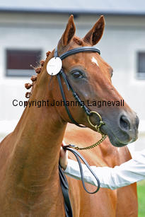 derana_2630-2.jpg