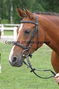 jolien_2735.jpg