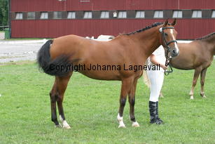 jolien_2746.jpg