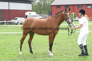 jolien_2757.jpg