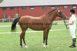 jolien_2760.jpg