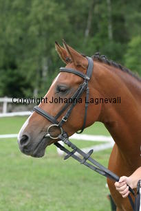 jolien_2764.jpg