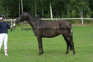 mymay_2534.jpg