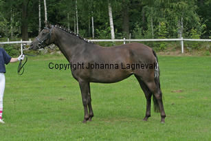 mymay_2536-2.jpg