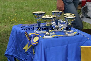 pris_2668.jpg