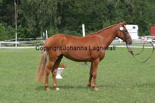 sbatlanticbreeze_2686.jpg