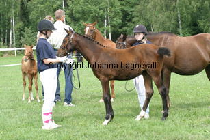 sbtopnbreeze_2631.jpg
