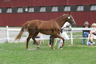 taixena_2828.jpg