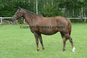 windygirl_2491.jpg