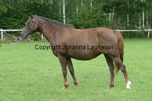 windygirl_2492.jpg