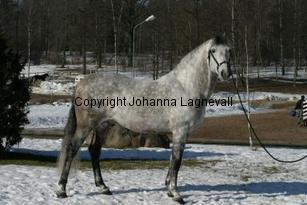 chatungotr_164_6411.jpg