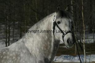 chatungotr_164_6412.jpg