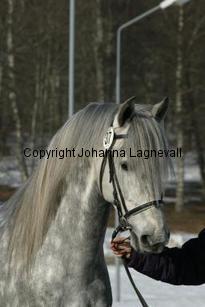 farrucoxlix_163_6388.jpg