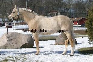hgskipster_166_6621.jpg