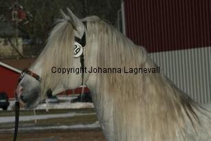 jabonerodejc1_163_6392.jpg