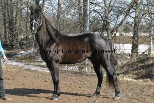 peppyblackdust_165_6597.jpg