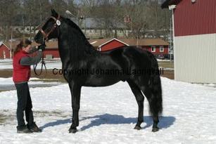 rainstormshadow_165_6504.jpg