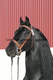rainstormshadow_165_6509.jpg