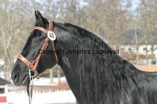rainstormshadow_165_6512.jpg